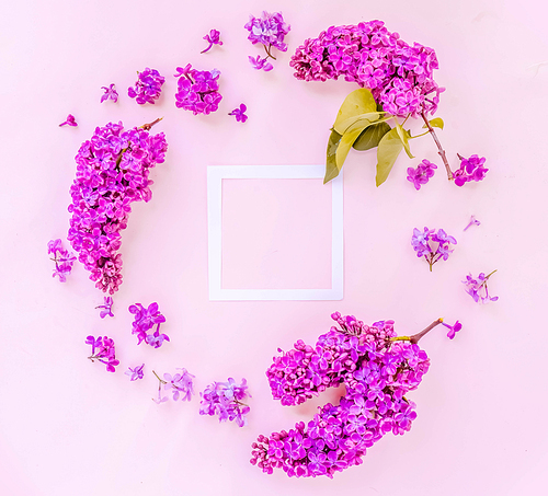 Fresh lilac flowers over pink background frame with copy space, flat lay floral composition, toned