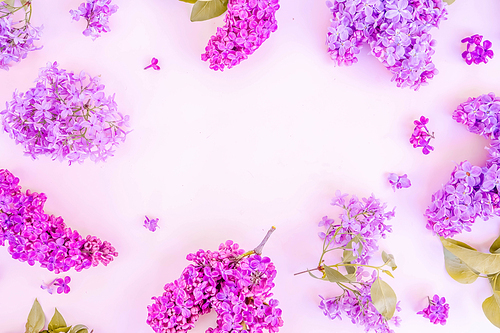 Fresh lilac flowers frame over pink background with copy space, flat lay floral composition, toned