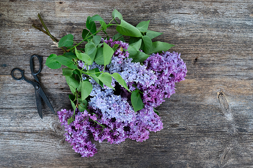 Fresh lilac flowers over wooden background with copy space, flat lay floral composition