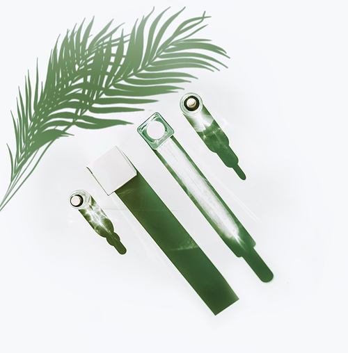 Anti aging cosmetic products for facial skin care in sunlight with long shadow and palm leaves on white background , top view. Natural cosmetics. Beauty concept