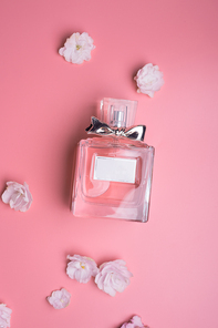 perfume bottle  with flowers  around pink   background. flat lay