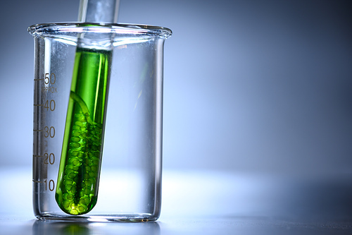 algae biofuel in biotech laboratory, Photobioreactor algae fuel research in biofuel industrial laboratories