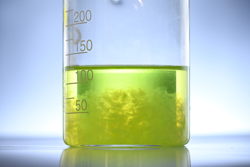 algae biofuel in biotech laboratory, Photobioreactor algae fuel research in biofuel industrial laboratories