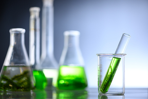 algae research in laboratories, biotechnology science concept