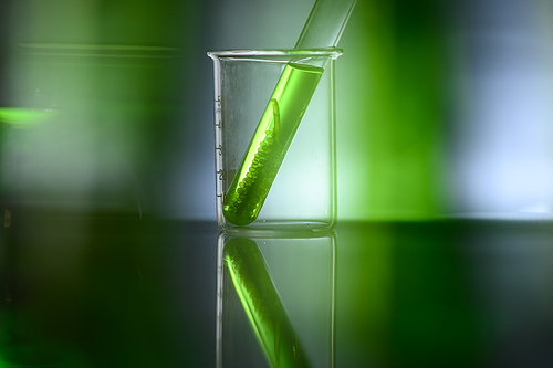 algae research in laboratories, biotechnology science concept