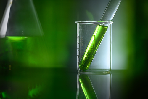 algae biofuel tube in biotech laboratory, Photobioreactor in lab algae fuel biofuel industry