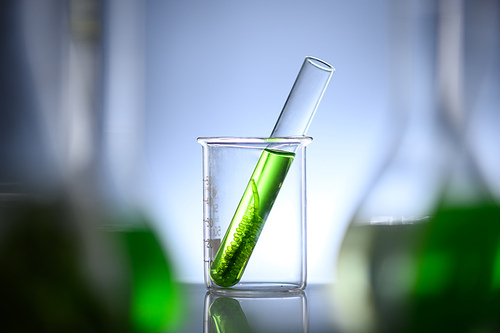 Photobioreactor in Algae fuel biofuel industry, sustainable energy concept