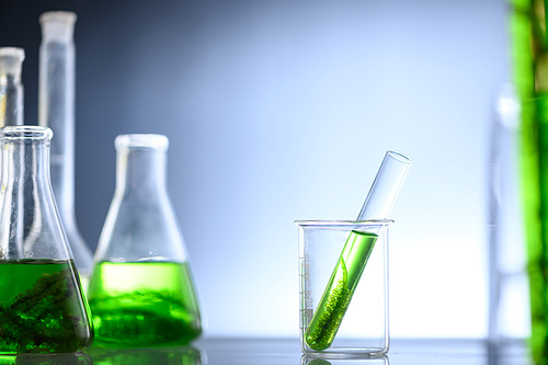 algae biofuel tube in biotech laboratory, Photobioreactor in lab algae fuel biofuel industry