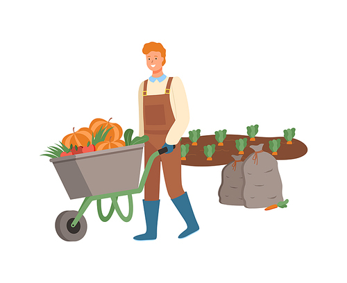 Farming man pushing wheelbarrow vector, male working on harvesting season, farmer on plantation of carrots, bags with ripe fruits and vegetables flat style