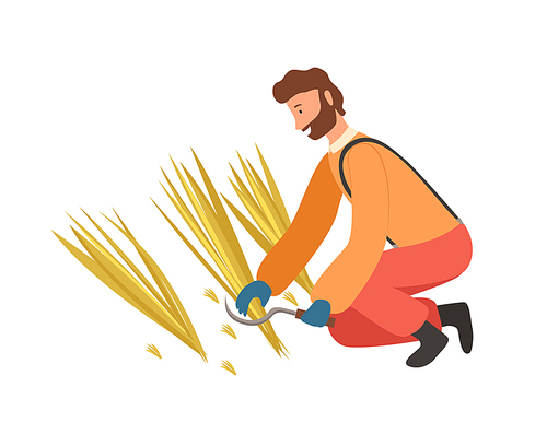 Farmer man mowing wheat by scythe, agricultural season work on field, worker character cutting straw, male wearing gloves and working clothes vector