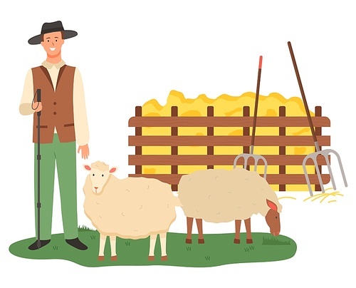 Farmer with sheep vector, male caring for animals flat style. Wooden fence with dried glass straw and hay with tools, instrument hayfork harvesting