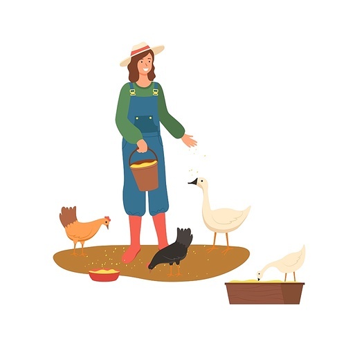 Person on farm vector, farming female wearing hat feeding hen chickens and geese agriculture and growing of domestic animals isolated farmer flat style