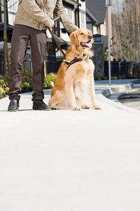 Blind man with guide dog on sidewalk