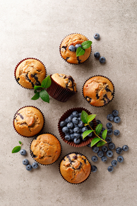 Blueberry muffins with fresh berries, top view