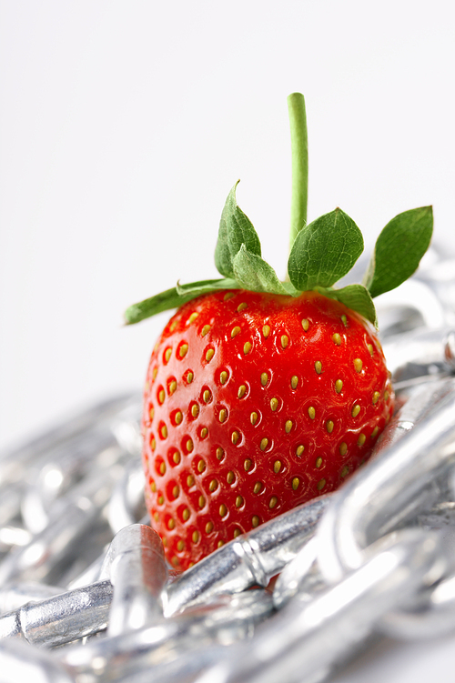 Strawberry laying on a white background among a chain