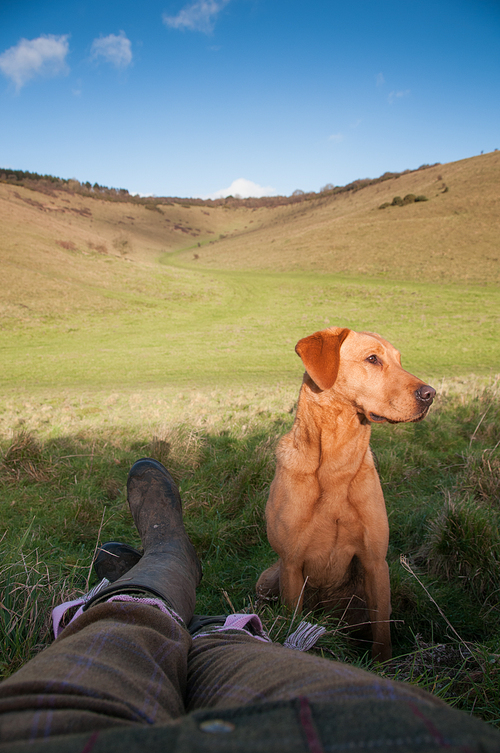 Master and gundog relaxing on a shoot day