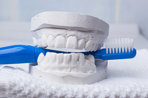Oral hygiene health concept. Closeup blue toothbrush in dental gypsum model plaster