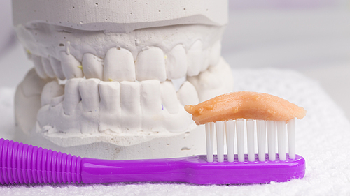 Oral hygiene health concept. Closeup toothbrush with paste in dental gypsum model plaster