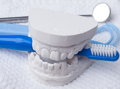 Oral hygiene health concept. Closeup blue toothbrush mirror and tongue cleaner with dental gypsum model