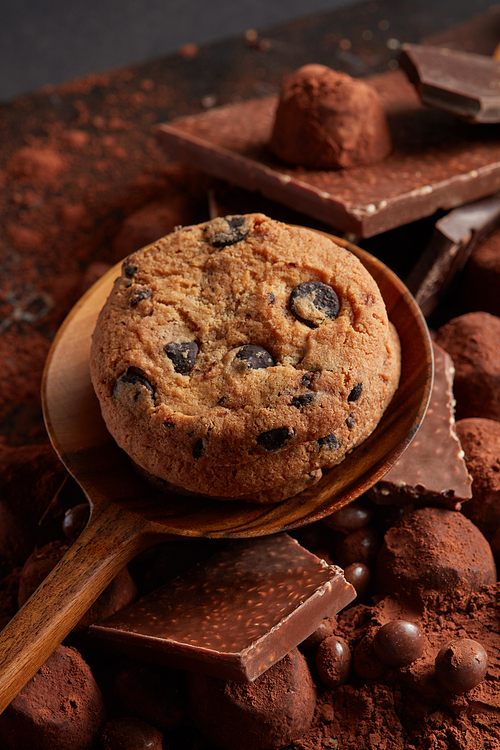 Homemade chocolate chip cookies on a wooden spoon with cocoa powder and candy