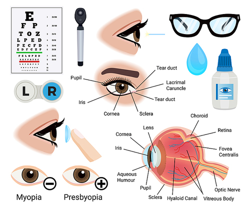 Eye care icons set with myopia and presbyopia symbols flat isolated vector illustration