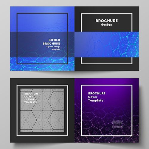 Vector layout of two covers templates for square design bifold brochure, flyer. Digital technology and big data concept with hexagons, connecting dots and lines, polygonal science medical background