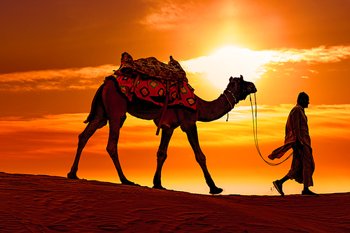 Cameleers, camel Drivers at sunset. Thar desert on sunset Jaisalmer, Rajasthan, India.