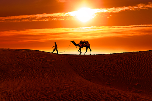 Cameleers, camel Drivers at sunset. Thar desert on sunset Jaisalmer, Rajasthan, India.