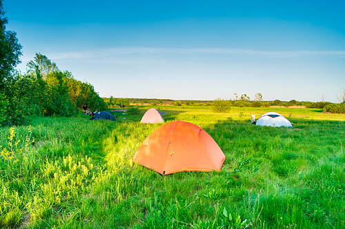 tent camp camping at  on green grass field in forest and