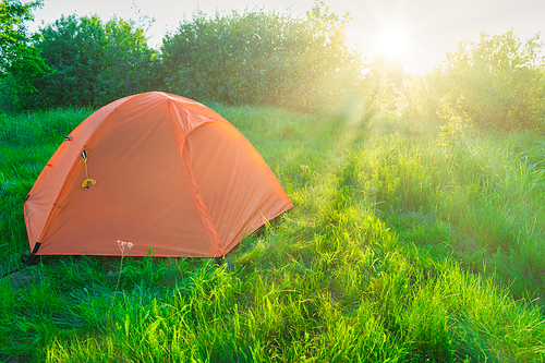 Orange tent camping at sunset in forest and green grass field and sun rays