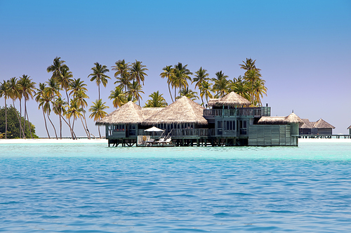 houses over the transparent quiet sea water  and a palm tree. Maldives