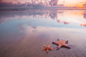 Two starfish on summer beach at sunset tropical romantic vacation background
