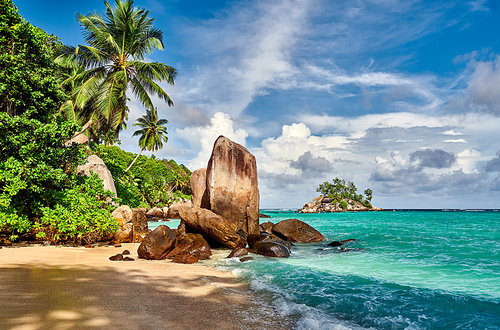 Beautiful beach with palm tree and rocks landscape at Seychelles, Mahe