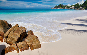Beautiful Carana beach with palm tree shadow at Seychelles, Mahe