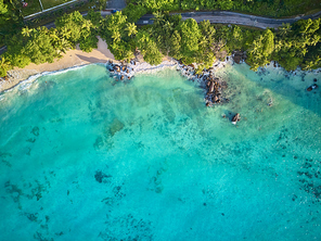 Beautiful beach with palm tree and rocks aerial top view drone shot at Seychelles, Mahe