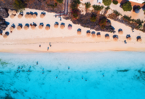 Aerial view of umbrellas, trees on the sandy beach of Indian Ocean at sunset. Summer travel in Zanzibar, Africa. Tropical landscape with palm trees, parasols, people, sand, clear blue water. Top view
