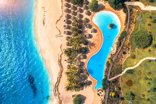 Aerial view of pool, umbrellas, sandy beach with green trees and blue sea. Coast of Indian ocean at sunset in summer. Top view. Landscape with azure water, parasols, palm trees. Luxury resort. Nature