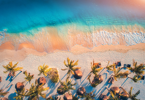 aerial view of umbrellas, palms on the sandy beach of indian ocean at . summer holiday in zanzibar, africa. tropical landscape with palm trees, parasols, white sand, blue water, waves. top view