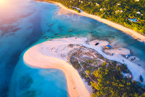Aerial view of the fishing boats on tropical sea coast with sandy beach at sunset. Summer holiday on Indian Ocean, Zanzibar, Africa. Landscape with boat, green trees, transparent blue water. Top view