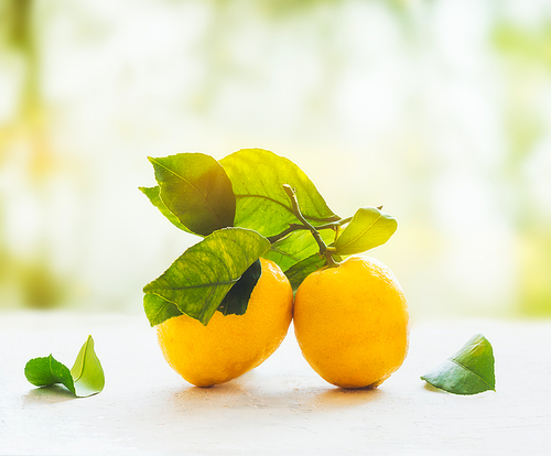 Ripe lemons with green leaves on white table at blurred summer nature background. Organic citrus fruits. Healthy lifestyle
