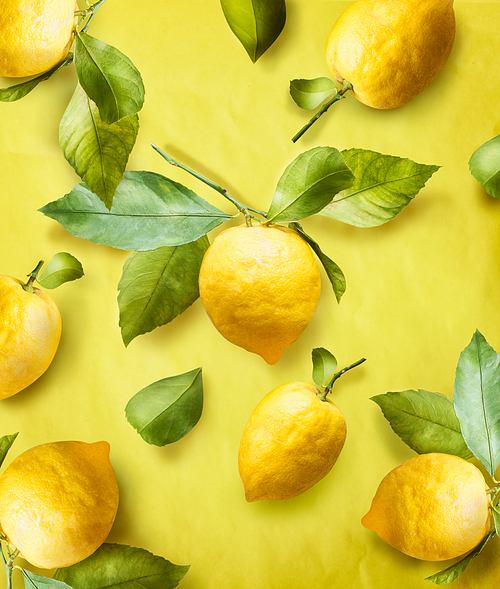Ripe lemons on branch with green leaves at yellow background. Creative. Summer Pattern. Trendy fruits.