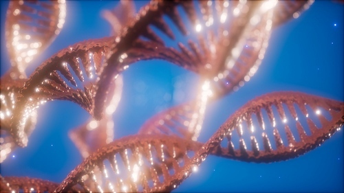 structure of the DNA double helix animation, DNA molecular and biologigical footage concept