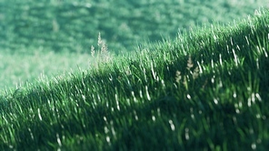 8K green grass field on hills background