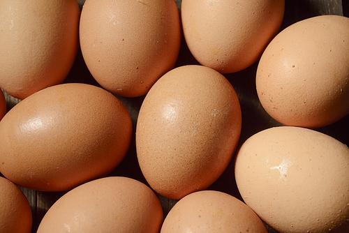 chicken eggs on a dark wooden background