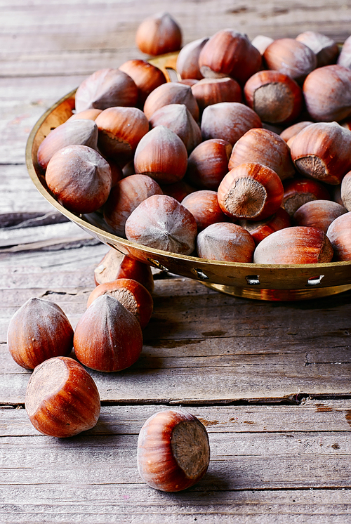 Fruits of hazelnut in the copper bowl and scattered near.