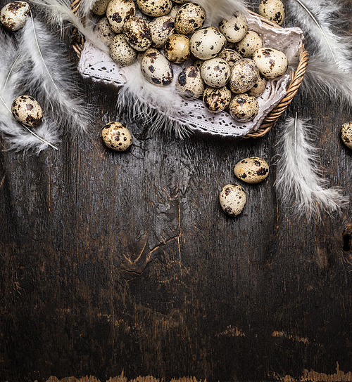 Quail  eggs in basket  with feathers on rustic wooden background, top view, vertical, place for text.