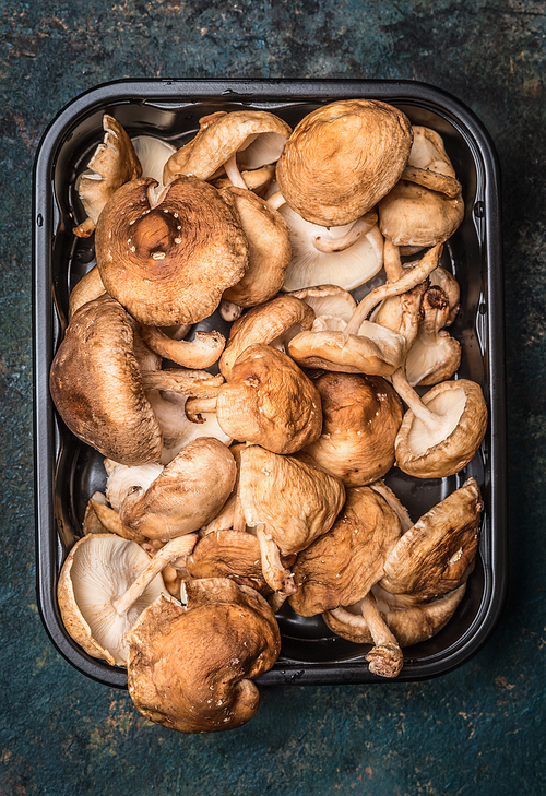 Shiitake mushrooms in  plastic box packaging tray, top view, close up