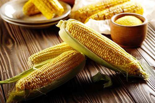 Kitchen table with raw and grilled sweet corn cob on baking paper and grits in wooden bowl