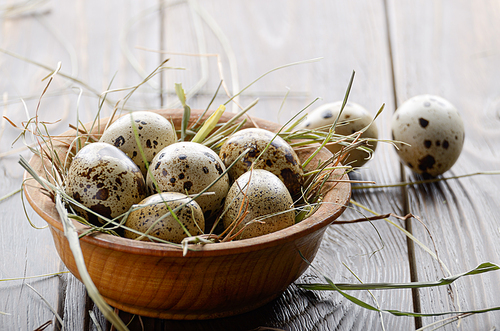 Fresh organic quail eggs in wooden bowl on rustic kitchen table. Space for text