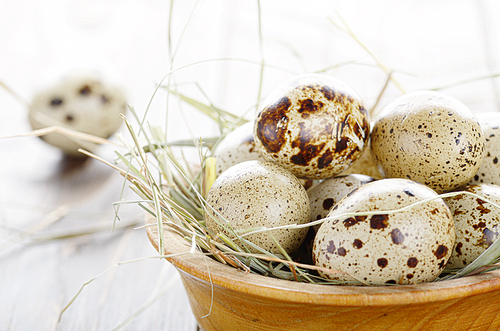 Fresh organic quail eggs in wooden bowl on rustic kitchen table. Space for text